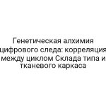 Генетическая алхимия цифрового следа: корреляция между циклом Склада типа и тканевого каркаса